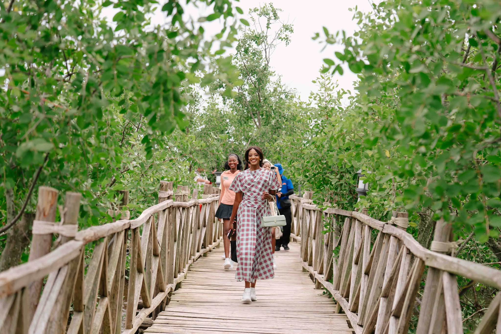 Dragon Mangrove Forest – điểm đến cho một ngày dài hòa mình cùng thiên nhiên